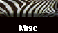  Misc 